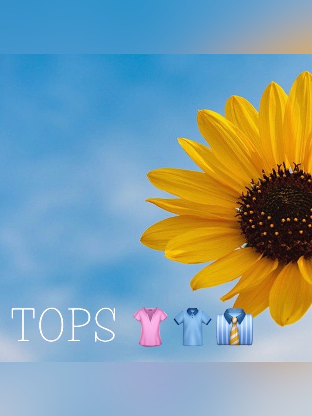 Tops in Kimmee’s Closet
